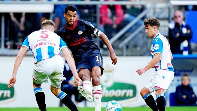 一雙適合自 一雙適合自