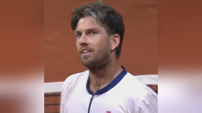 了走钢丝般 了走钢丝般