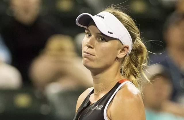 体育今日吐 体育今日吐