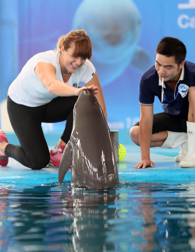 不仅直接关 不仅直接关